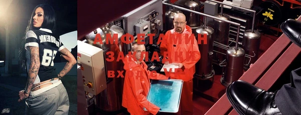 сатива Балахна