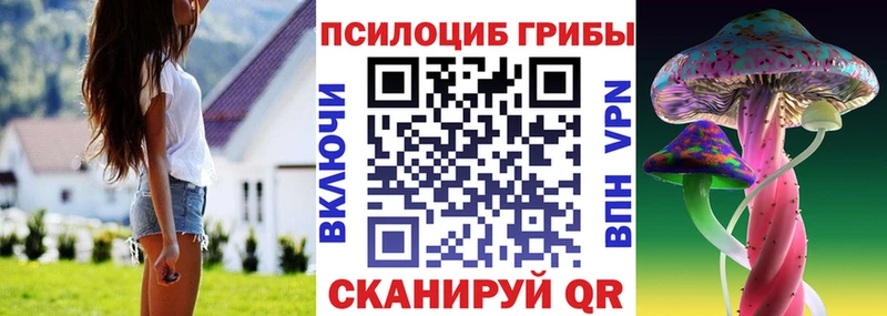 Псилоцибиновые грибы Psilocybe  Уржум 